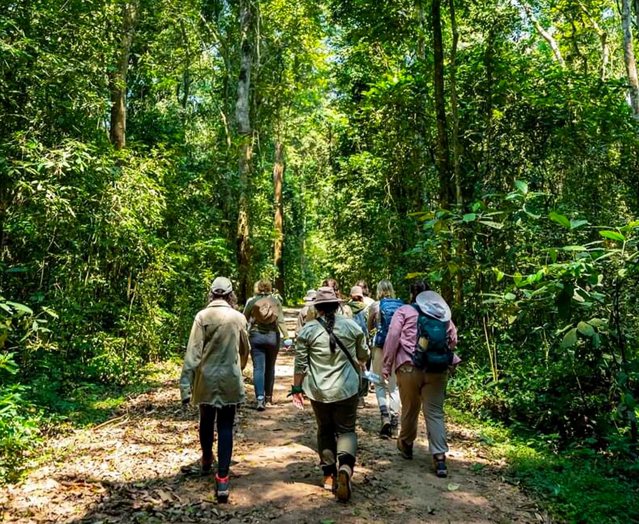 forest-nature-walk-trail-in-kibale-national-park