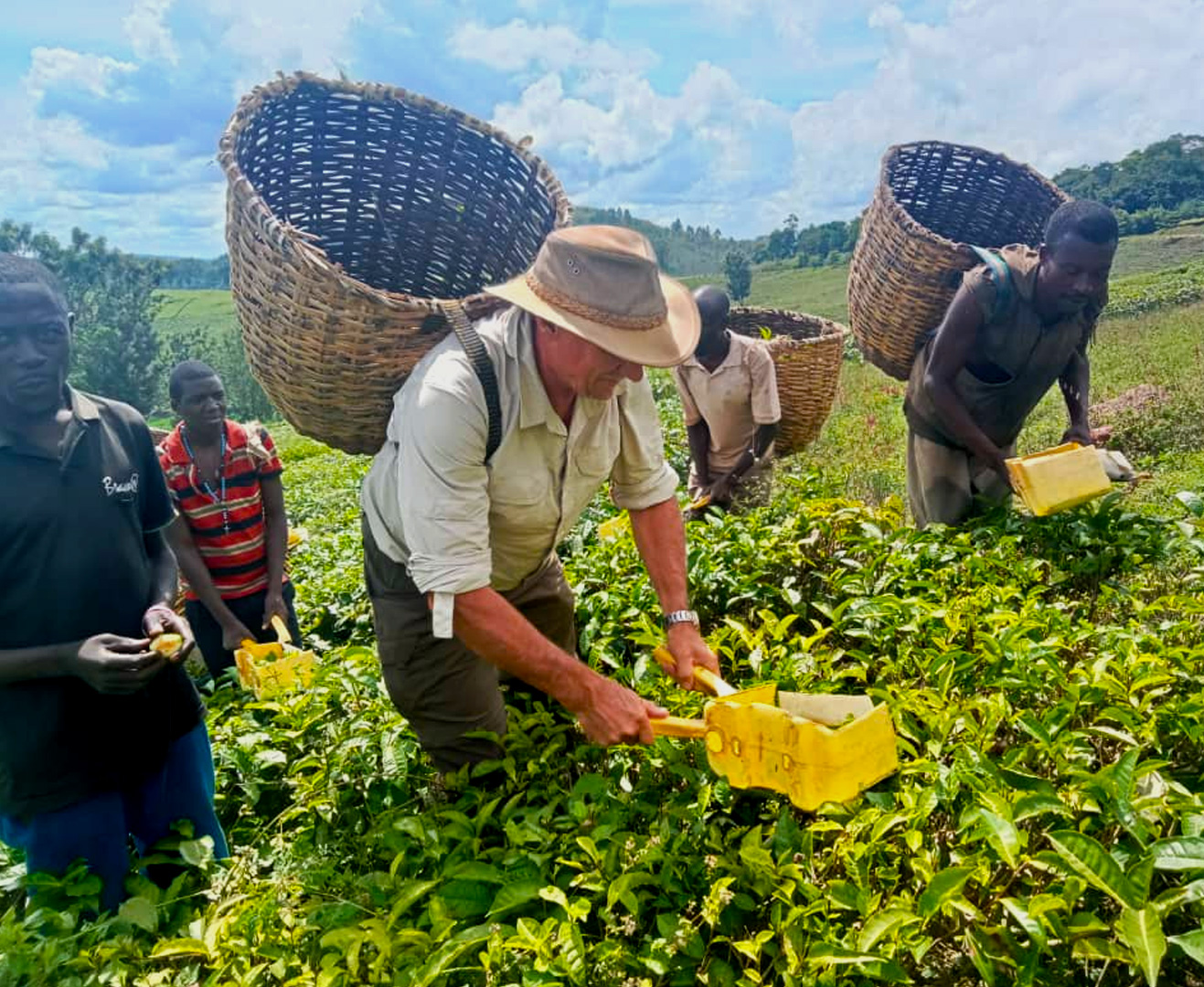 tea-plantation-tour-in-kibale